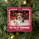Search for paw with christmas tree decorations Dogs