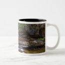 Search for zion mugs Desert
