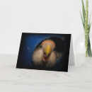 Search for lovebirds cards Parrot