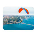 Search for fly magnets Aviation
