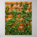Search for cabin wall posters Brown