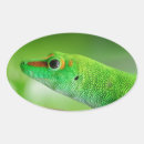 Search for large lizard stickers Nature