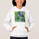 Search for dragonfly hoodies Nature