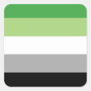 Search for aromantic flag stickers Gay