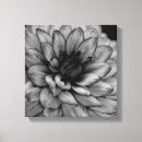 Search for dahlia canvas prints Botanical