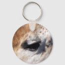 Search for giraffe photos key rings African