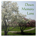 Search for crab apple Garden