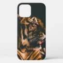 Search for lying cases Tiger