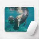 Search for undersea mousepads Cute baby animal