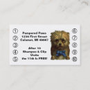 Search for dog grooming loyalty cards Punch
