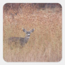 Search for buck wild stickers Deer
