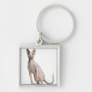 Search for photo studio key rings Domestic cat