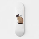 Search for cat skateboards Siamese