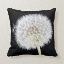Search for dandelion cushions Home