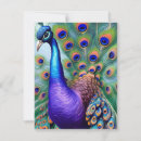 Search for peacock cards Peafowl