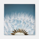 Search for weeds magnets Garden