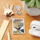 Search for glider key rings Plane