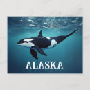 Search for killer postcards Fish