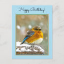 Search for eastern postcards Bluebird