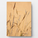 Search for acrylic signs Summer