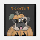 Search for jack o lantern magnets Trick or treat