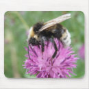 Search for thistle mousepads Pink