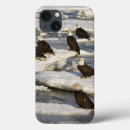 Search for eagle ipad cases Wildlife