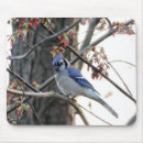 Search for jays mousepads Animals