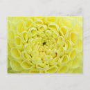 Search for depth postcards Colourful