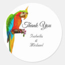 Search for macaw labels Floral