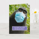 Search for macaques cards Macaque monkey