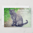 Search for cat save the dates Animal
