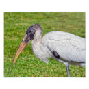 Search for stork art Florida