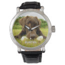 Search for chocolate watches Labrador