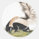 Search for cute skunks stickers Wildlife