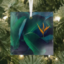 Search for birds of paradise christmas tree decorations Nature