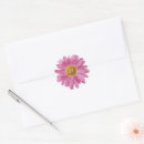 Search for pink daisy stickers Modern