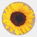 Search for burlap wedding stickers Sunflowers