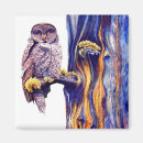 Search for hoo magnets Owl