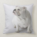 Search for english bulldog cushions Dogs