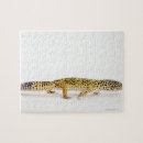 Search for reptile puzzles Scales