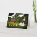 Search for hen cards Chicks