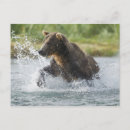 Search for bear river postcards Alaska