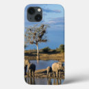 Search for african elephant cases Colour image