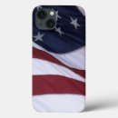 Search for north cases Flag