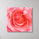 Search for drops canvas prints Flower