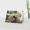 Search for wild cards Pink
