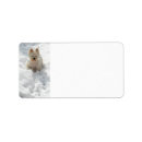 Search for westie return address labels West highland white terrier