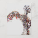 Search for sinus postcards Intricacy