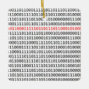 Search for binary code Programmer